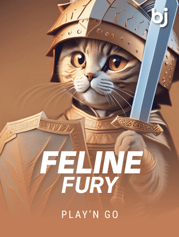 Feline Fury screenshot